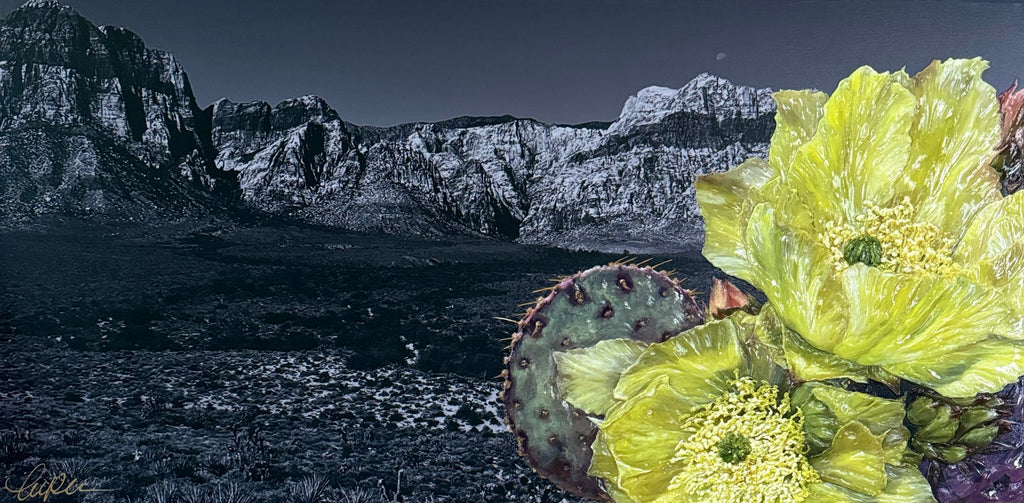 Red Rock, Nevada Yellow Cactus Bloom Original Painting
